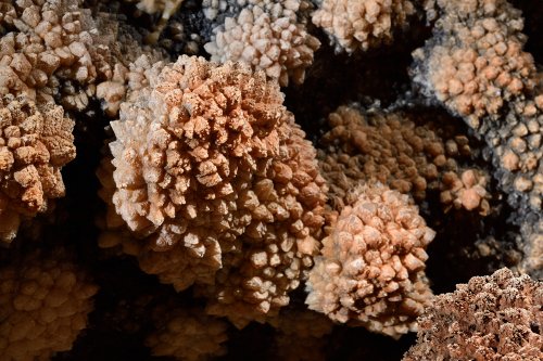 Grotte du Sud de l'Arizona (USA) - Cristaux en dent de cochon dans un ancien gour  (SP-20-0242)